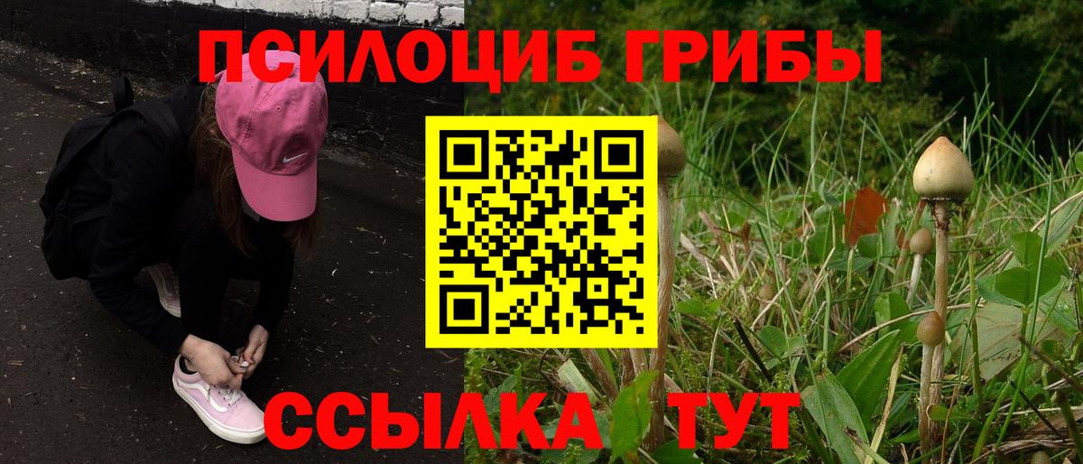 Изобильный  Галлюциногенные грибы GOLDEN TEACHER  купить наркоту  Галлюциногенные грибы Cubensis  Вход с VPN 